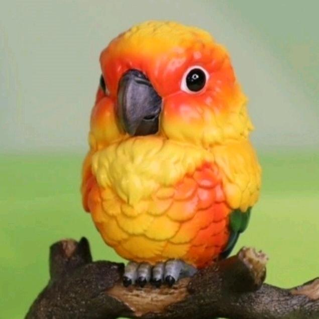 新新鹦鹉养殖场