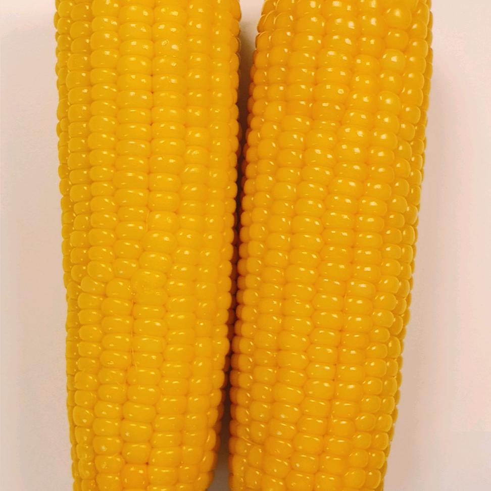 桂丰糯玉米小店