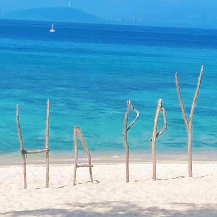 阿海在越南