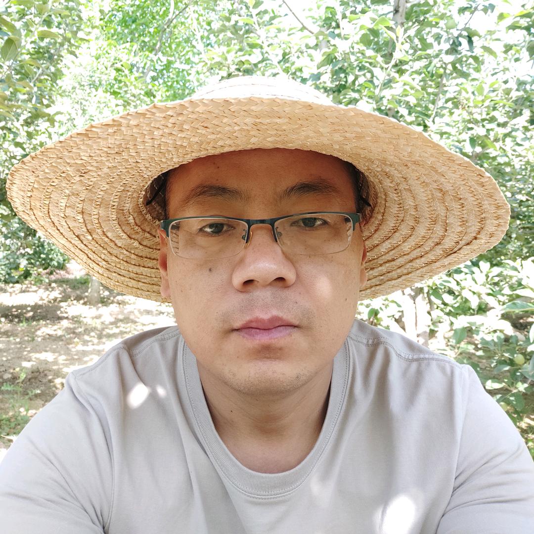 保叶一号