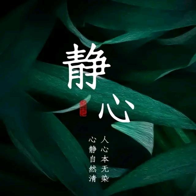 唯美（感悟心声）