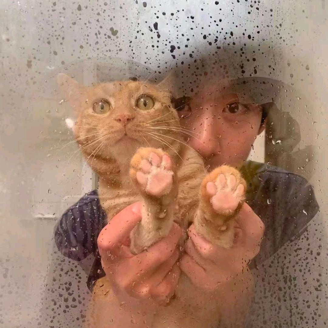 酸菜猫(....ʕ•̫͡•ʔ