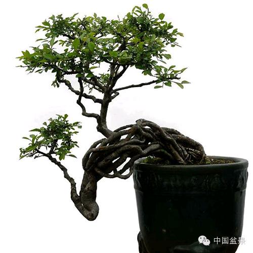回望90
