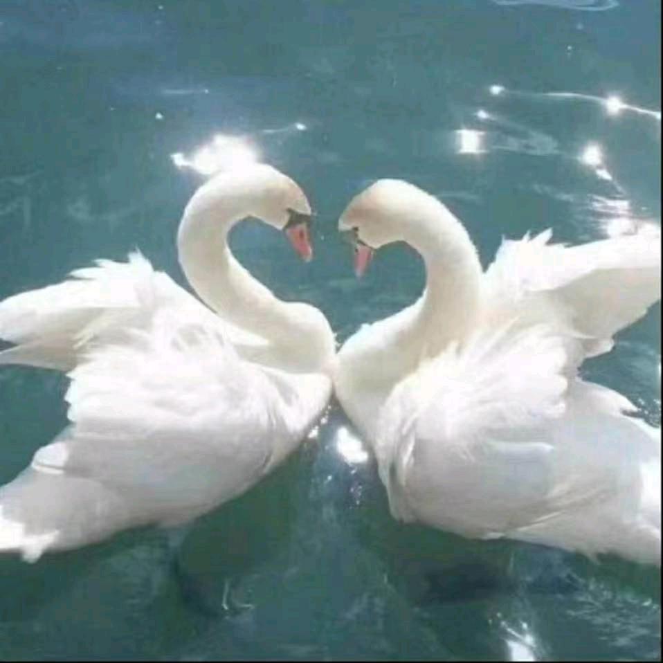 ℳঞ ໌້ᮨ幸运💞星꧔ꦿ᭄
