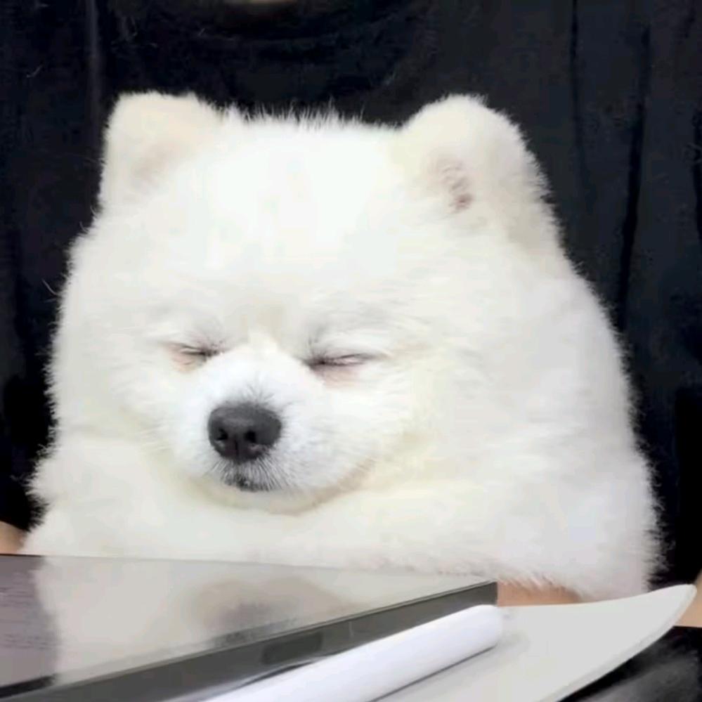 晓帆