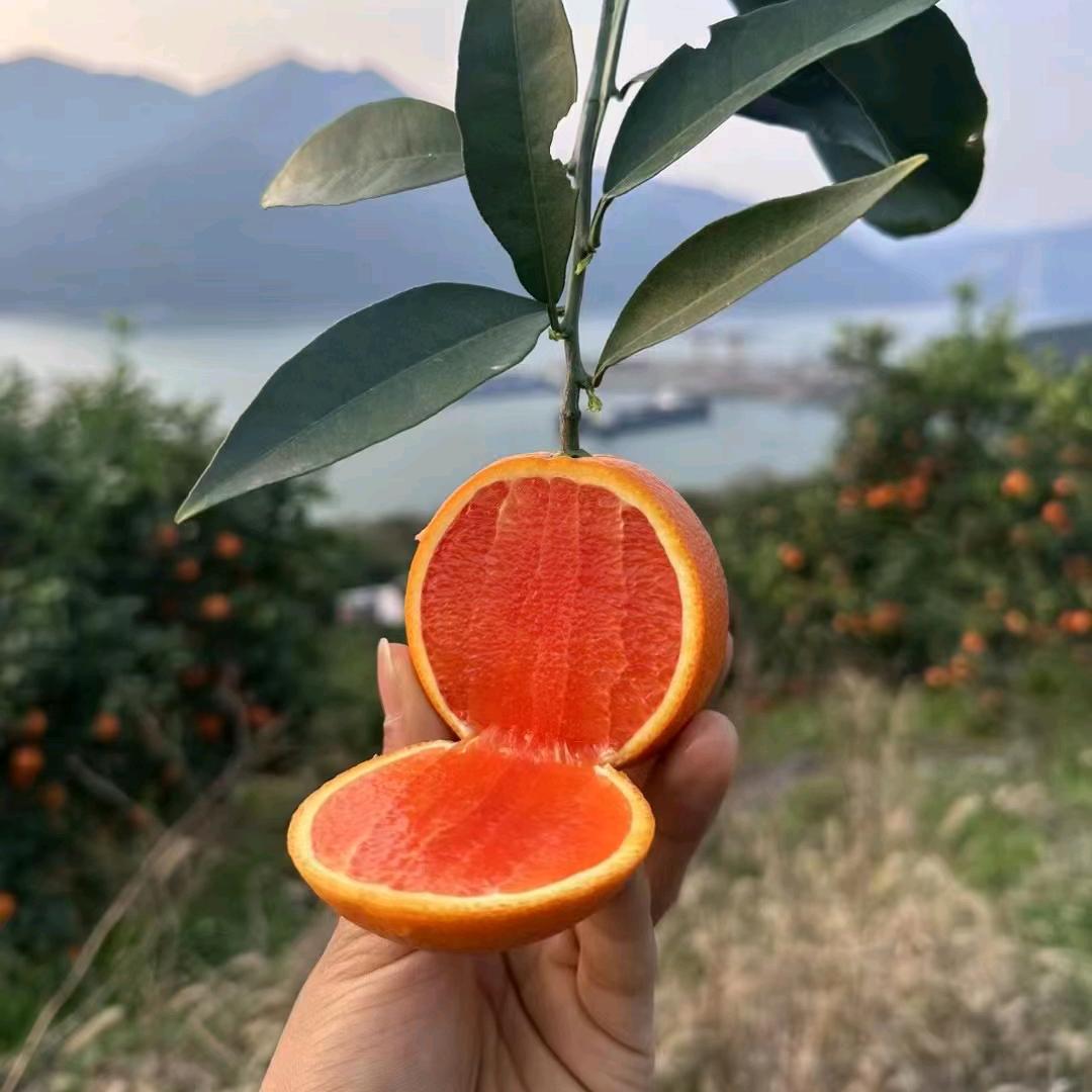 家有两棉袄,