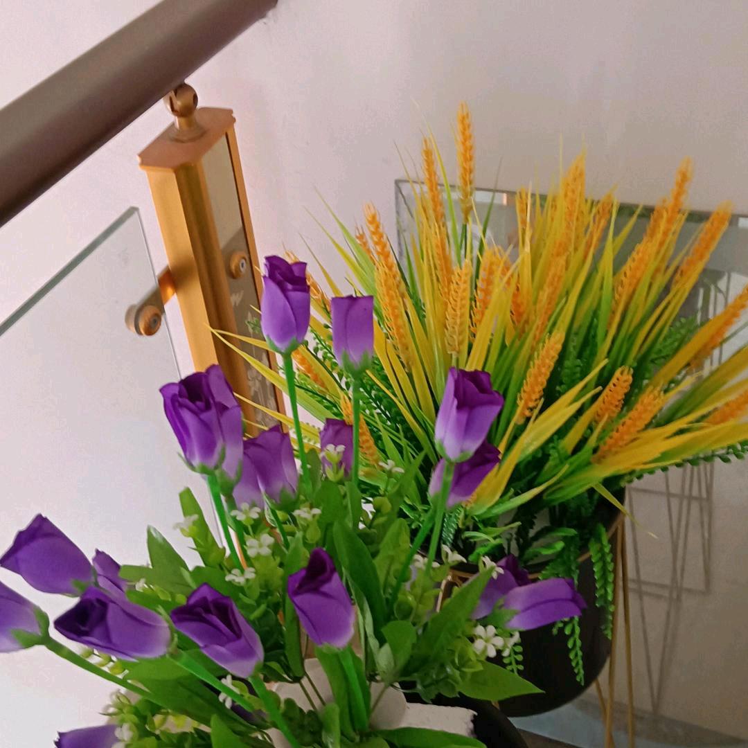 ꧁꫞꯭封心໌້ᮨ爱꯭꫞꧂ꦿ张苗苗
