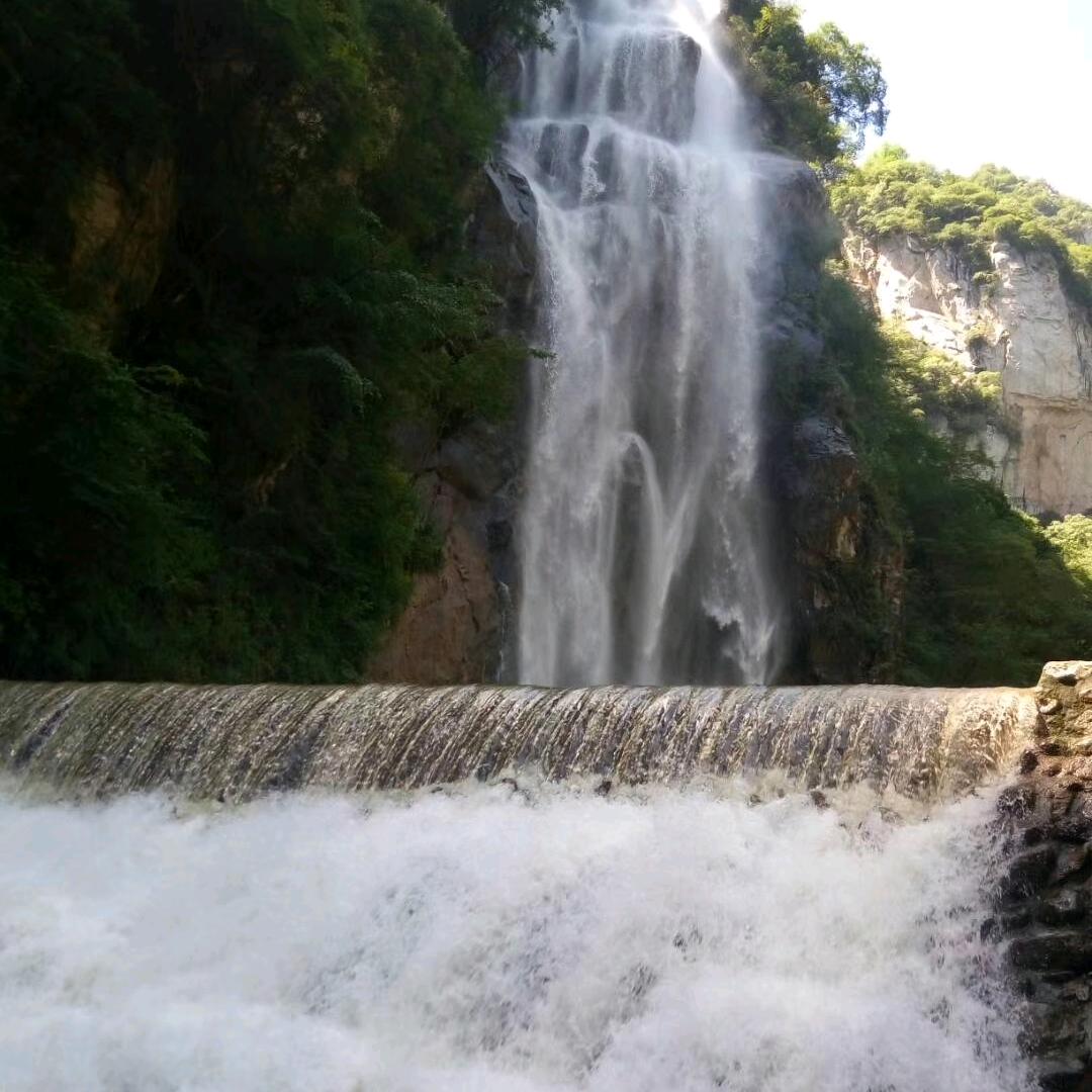 我是孤雁