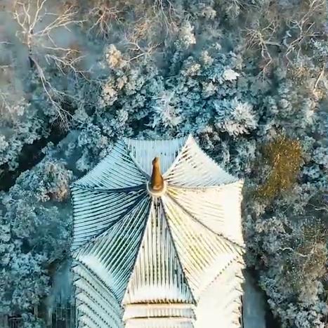 高兴，feng〈沒办法歌舞🧜‍♂️🧜