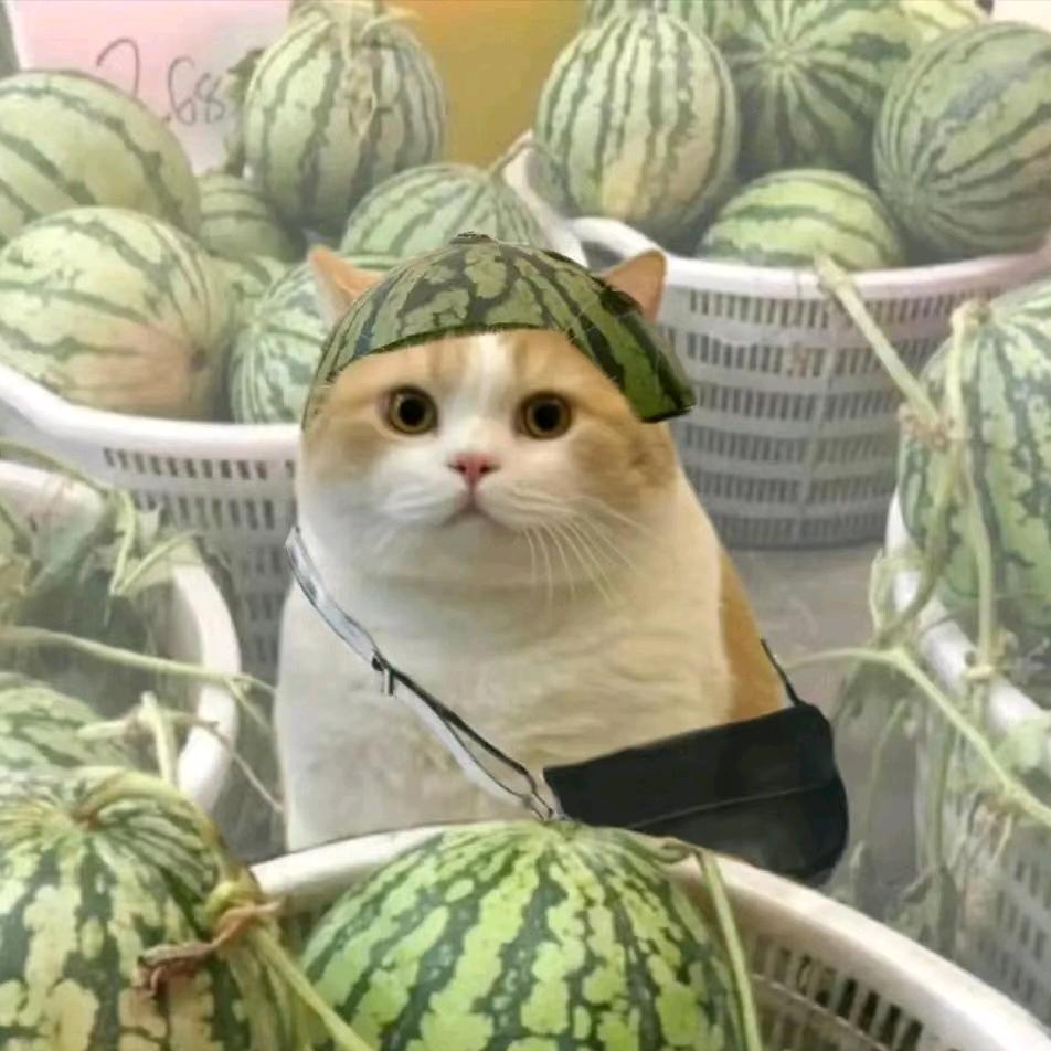 小萝卜