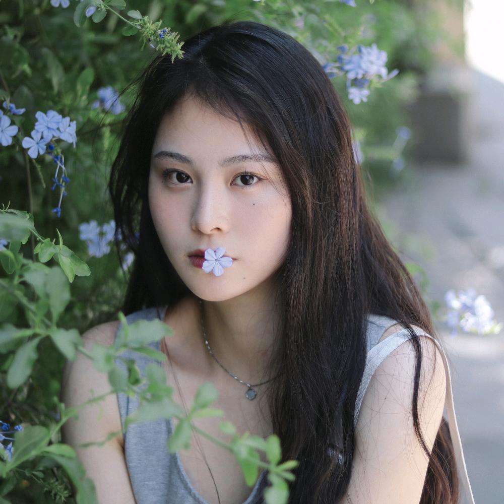 燕子不走.