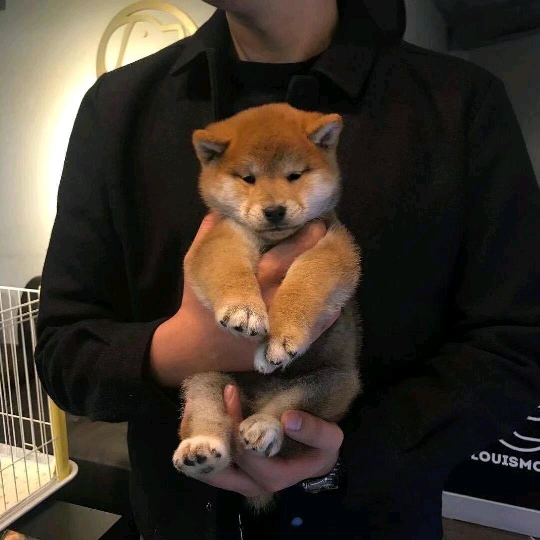 WANG