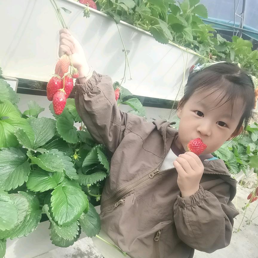 @小柠檬
