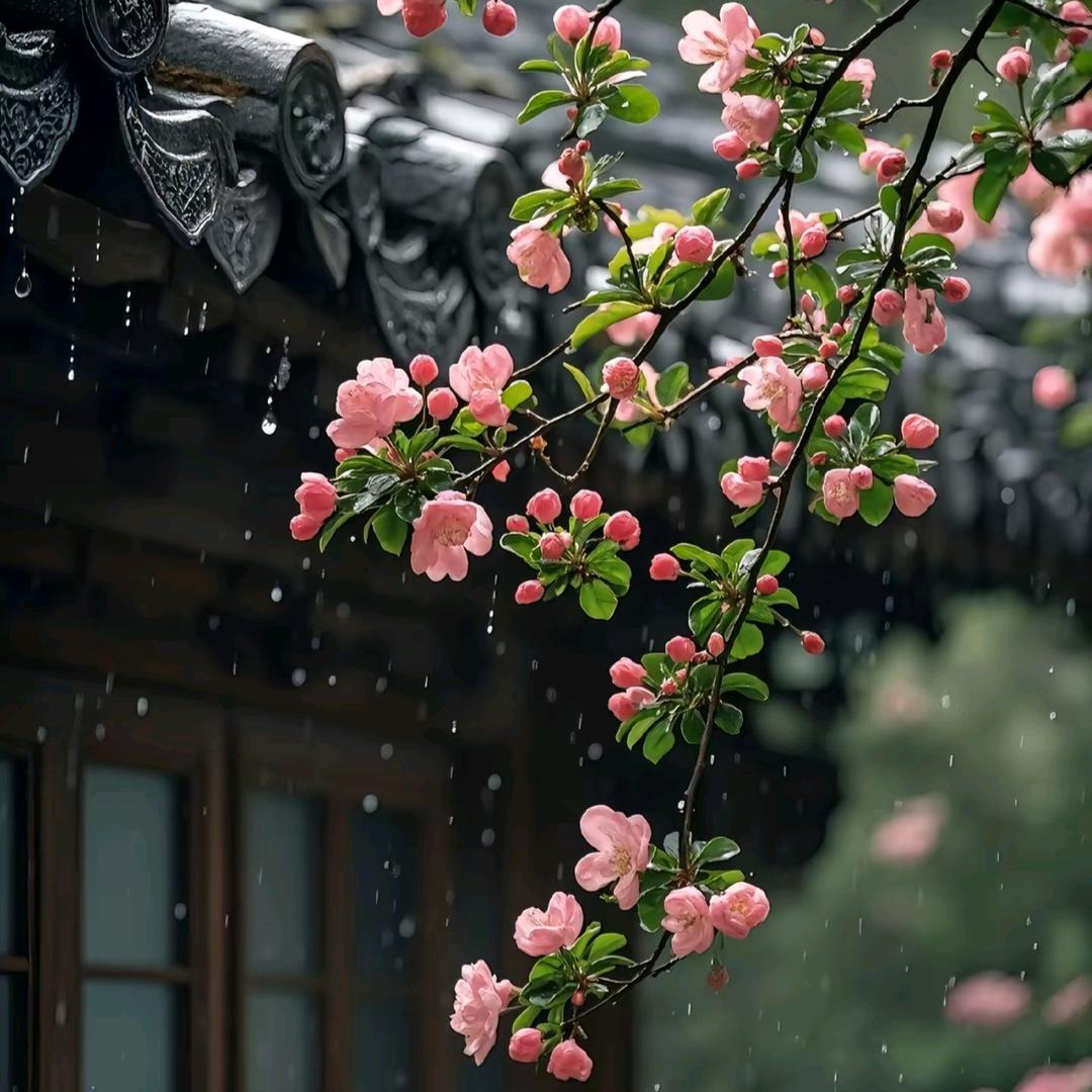 黄花