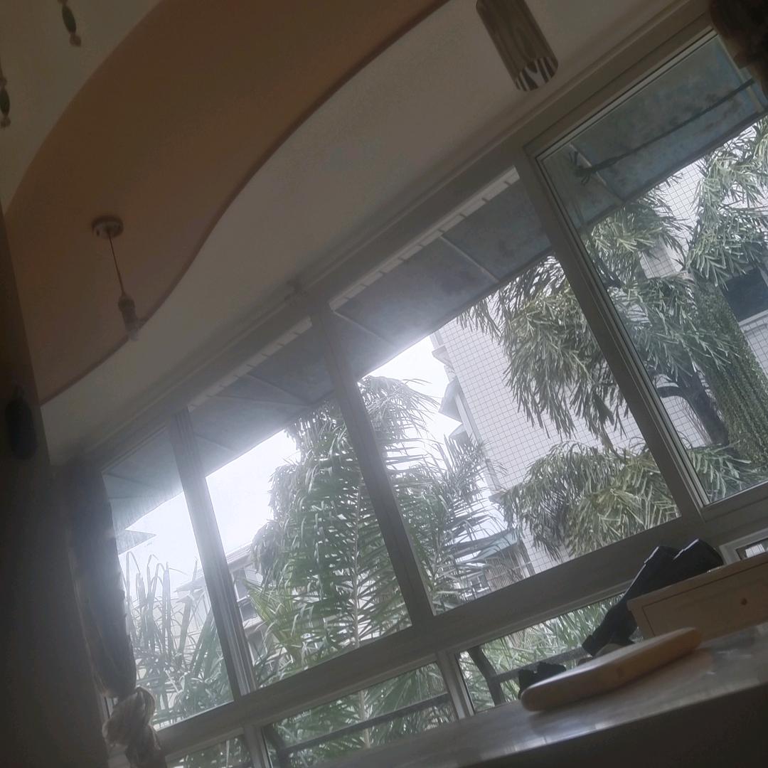 我是黑粉他爷爷