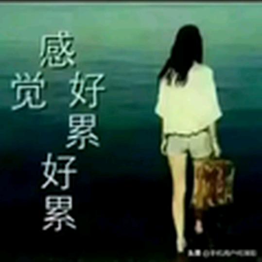 在冰冷红尘