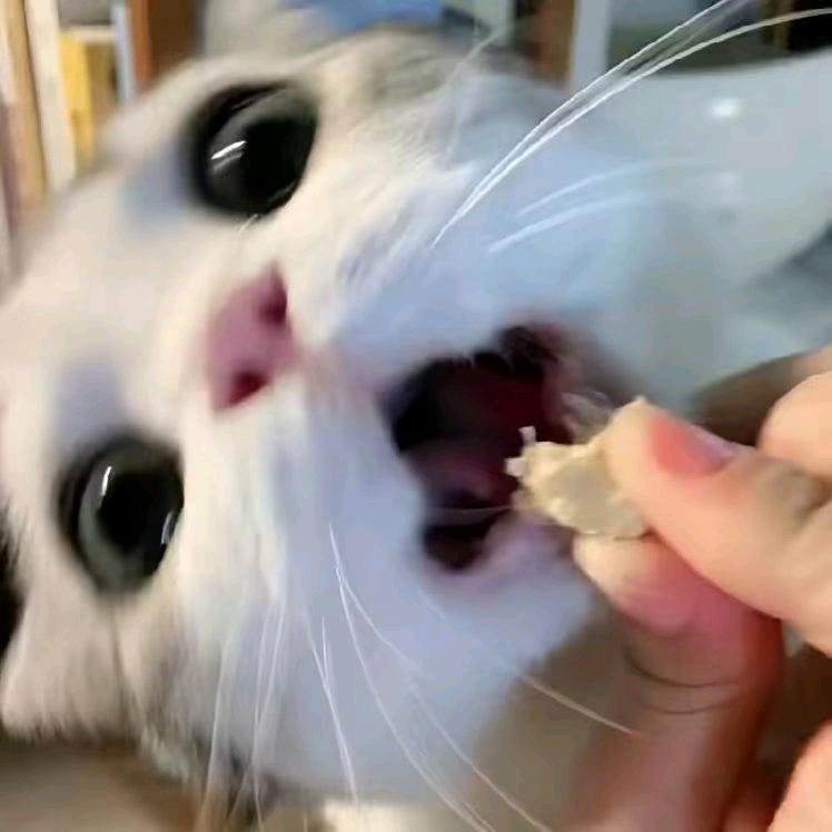 ^🥥