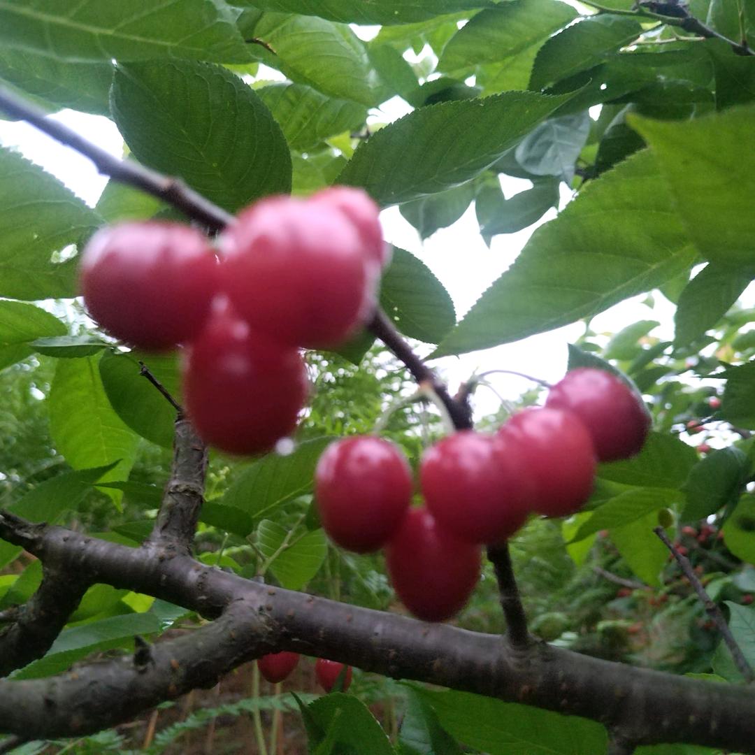 风雨人生慢慢醒悟