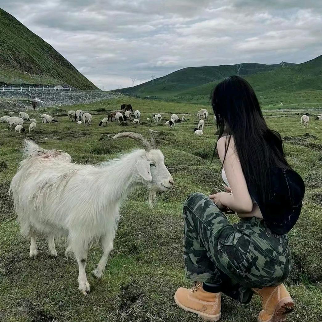 欢欢吖