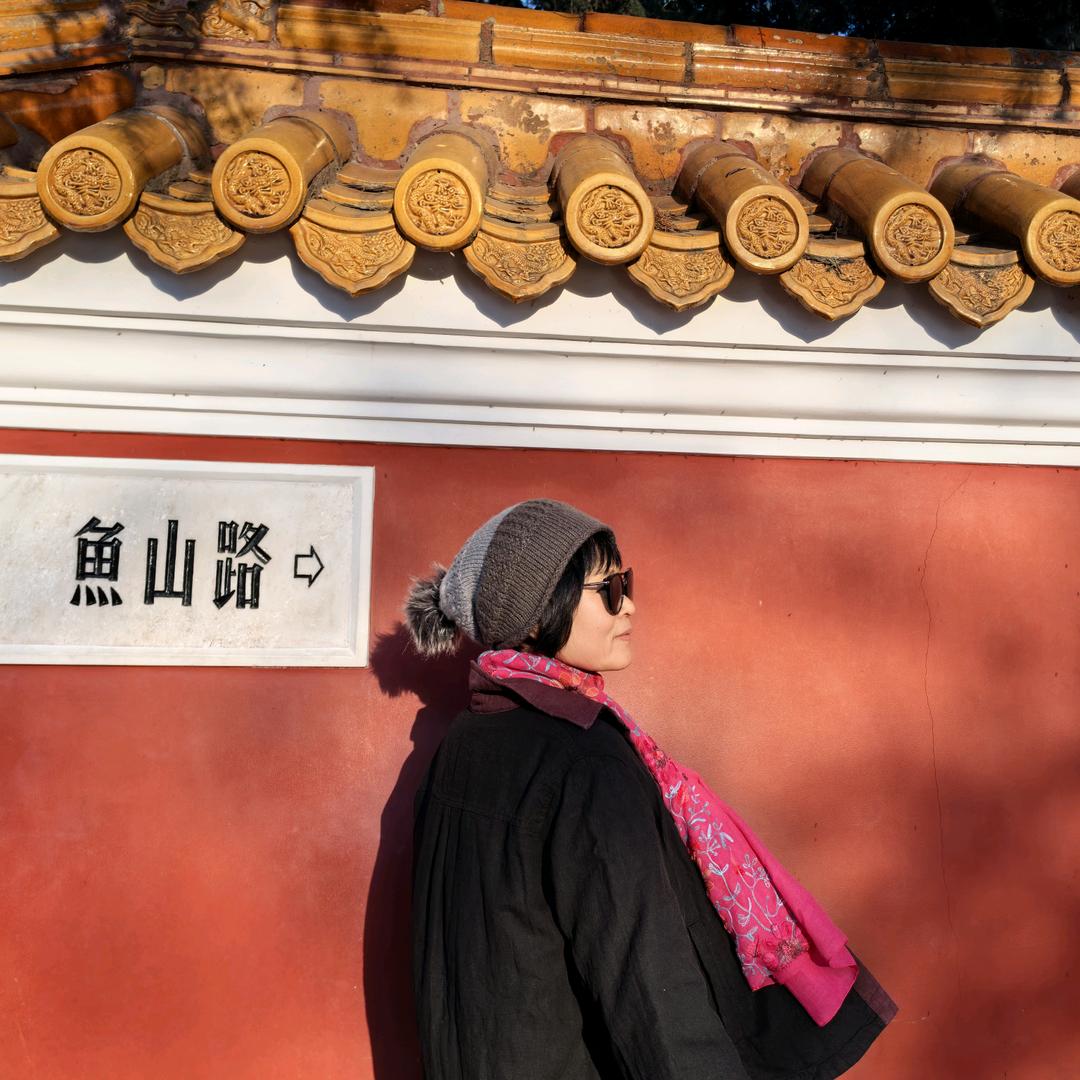 絮飞