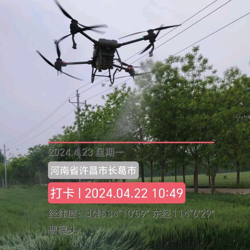 🌜李直气壮🌛🚀🚀