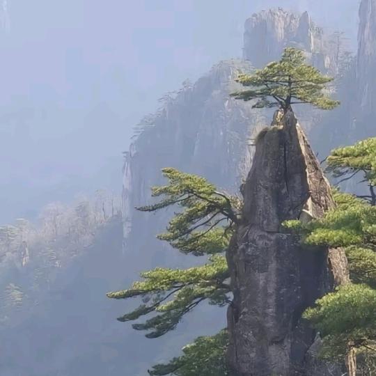 老马