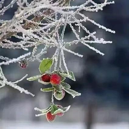 能吃是福😜( ﹡ˆoˆ﹡ )