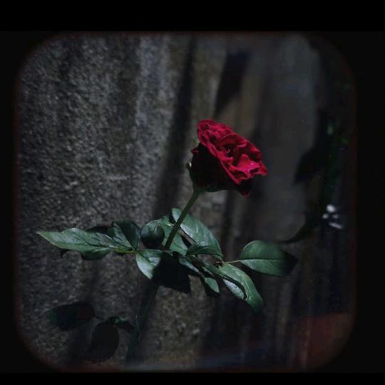 ࿐宝ཧྭོ(--👻--)