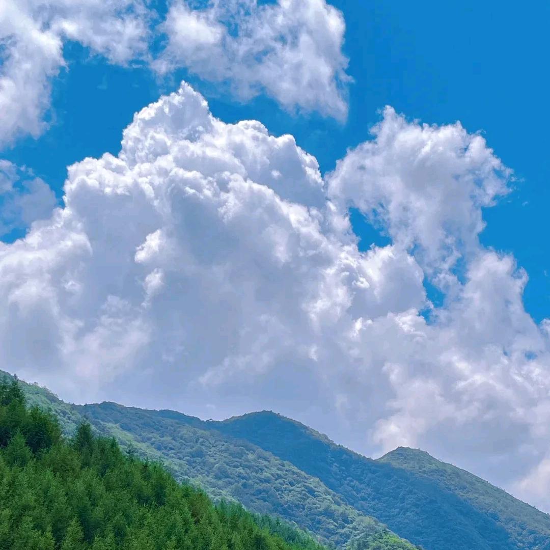 星河入梦