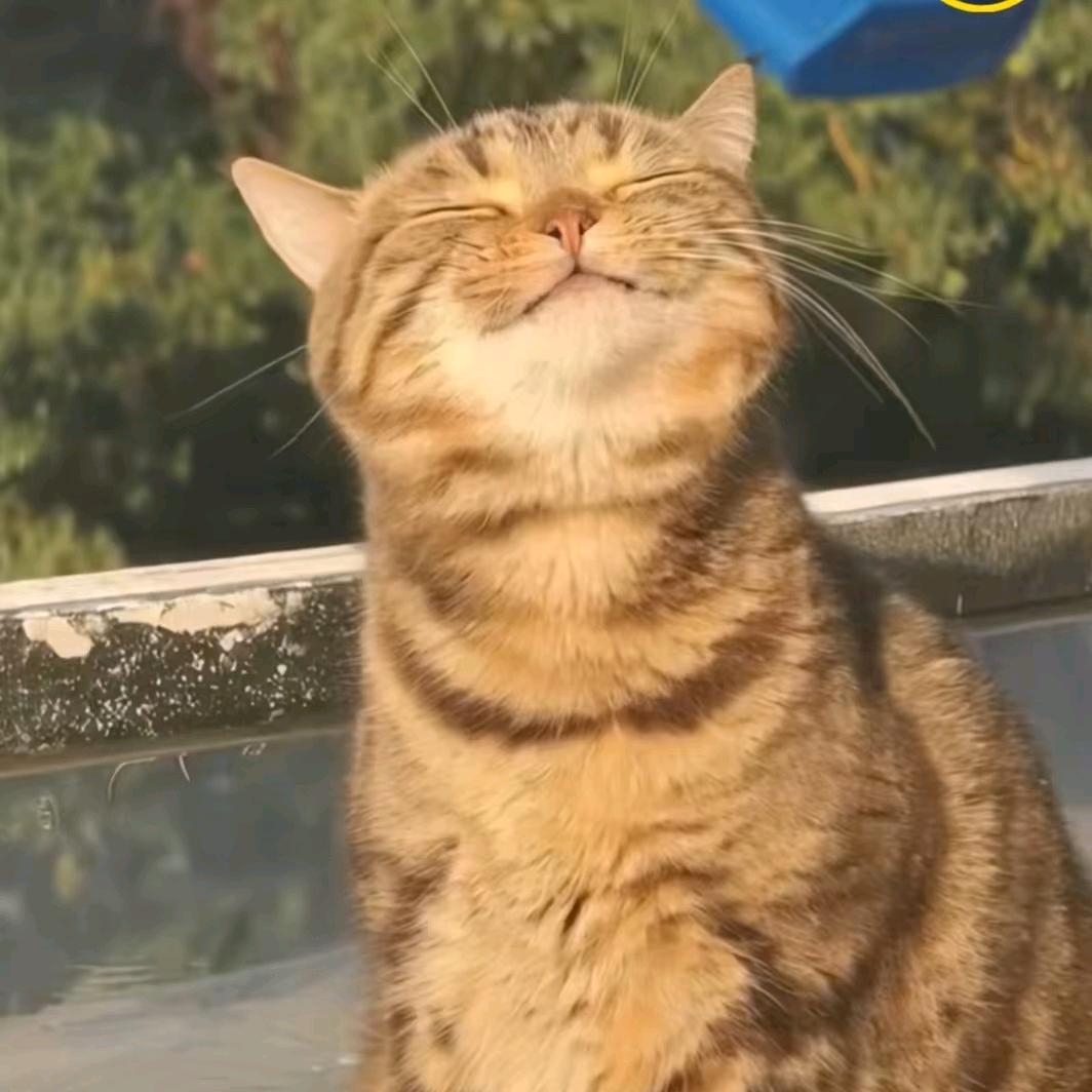 Mu