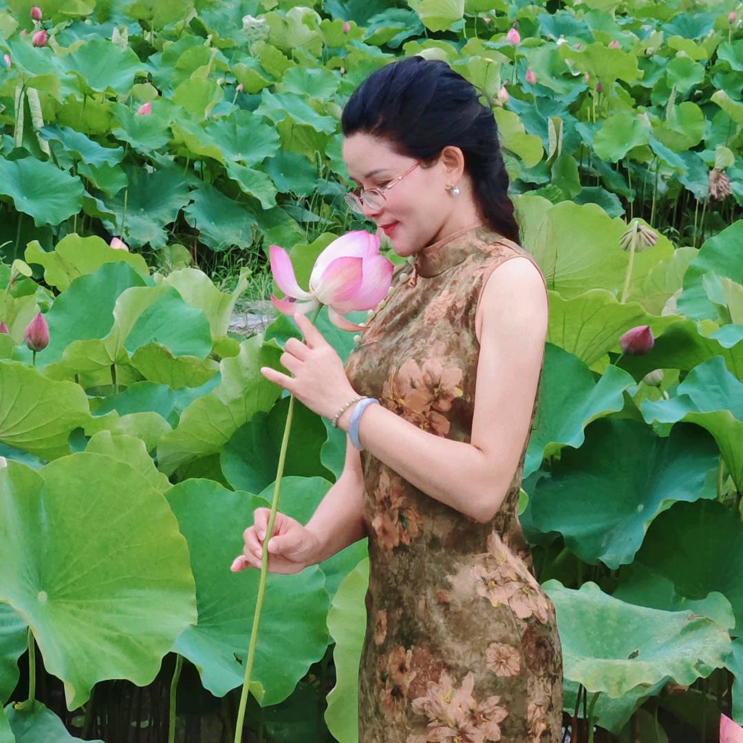 路过的叶