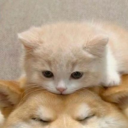 🐲🐲🐲🐲🐲🐲🐲