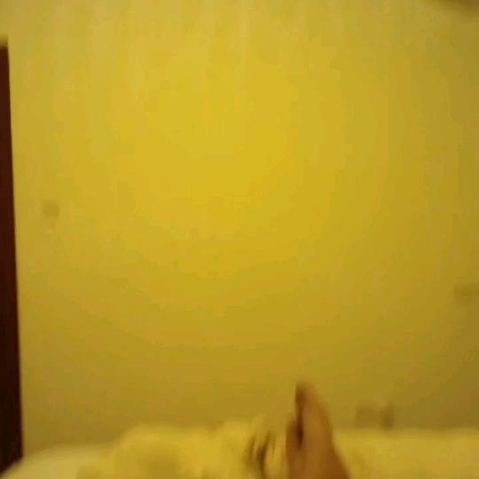 江西忠梅