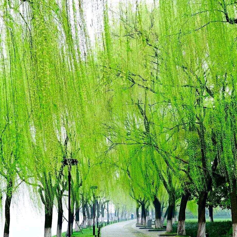 我的人生全是遗憾