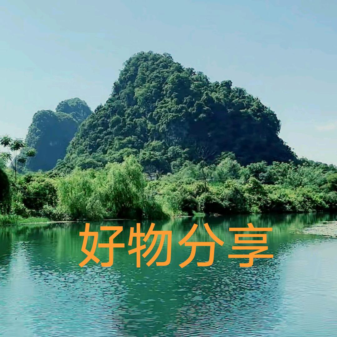 南飞雁