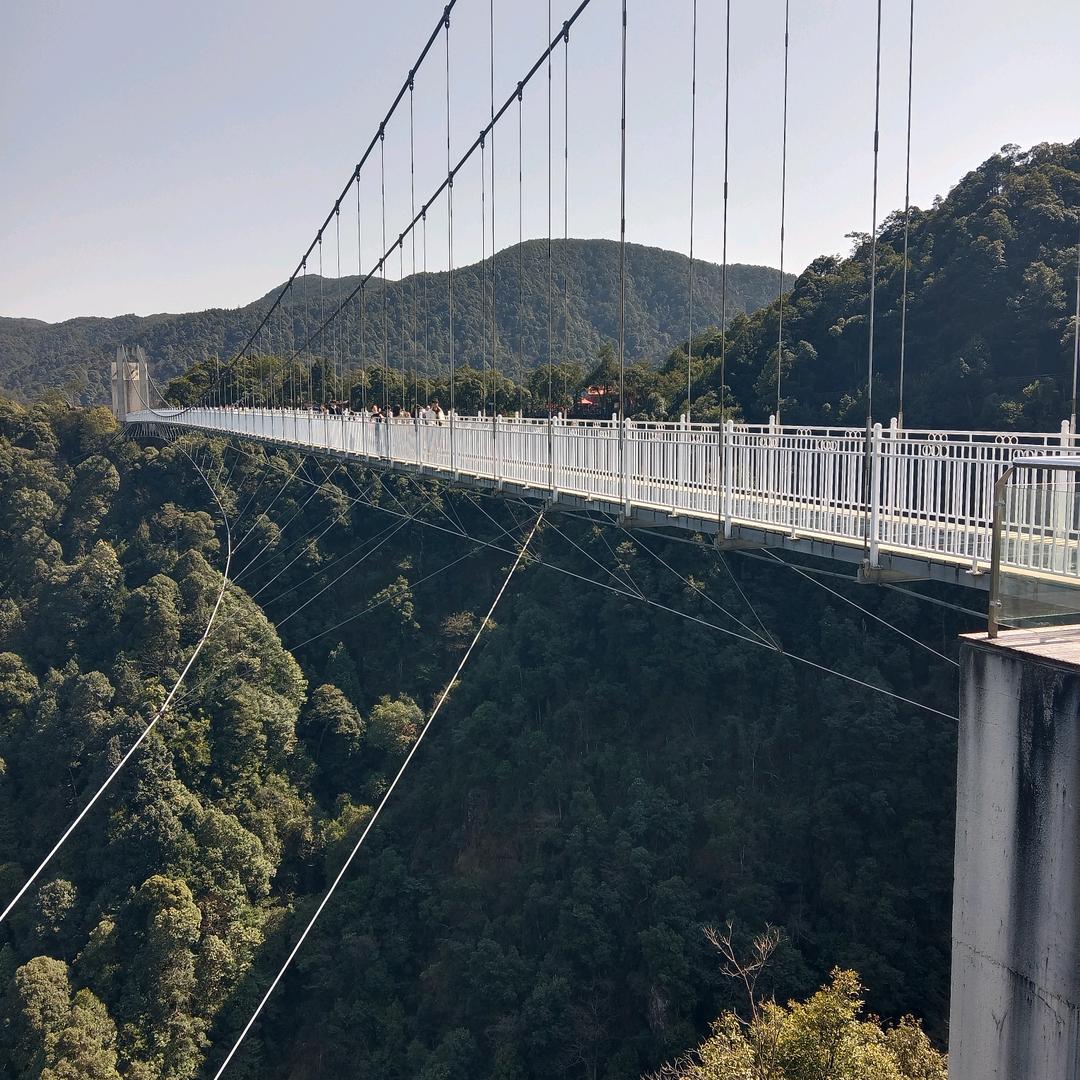 为生活去奋斗。