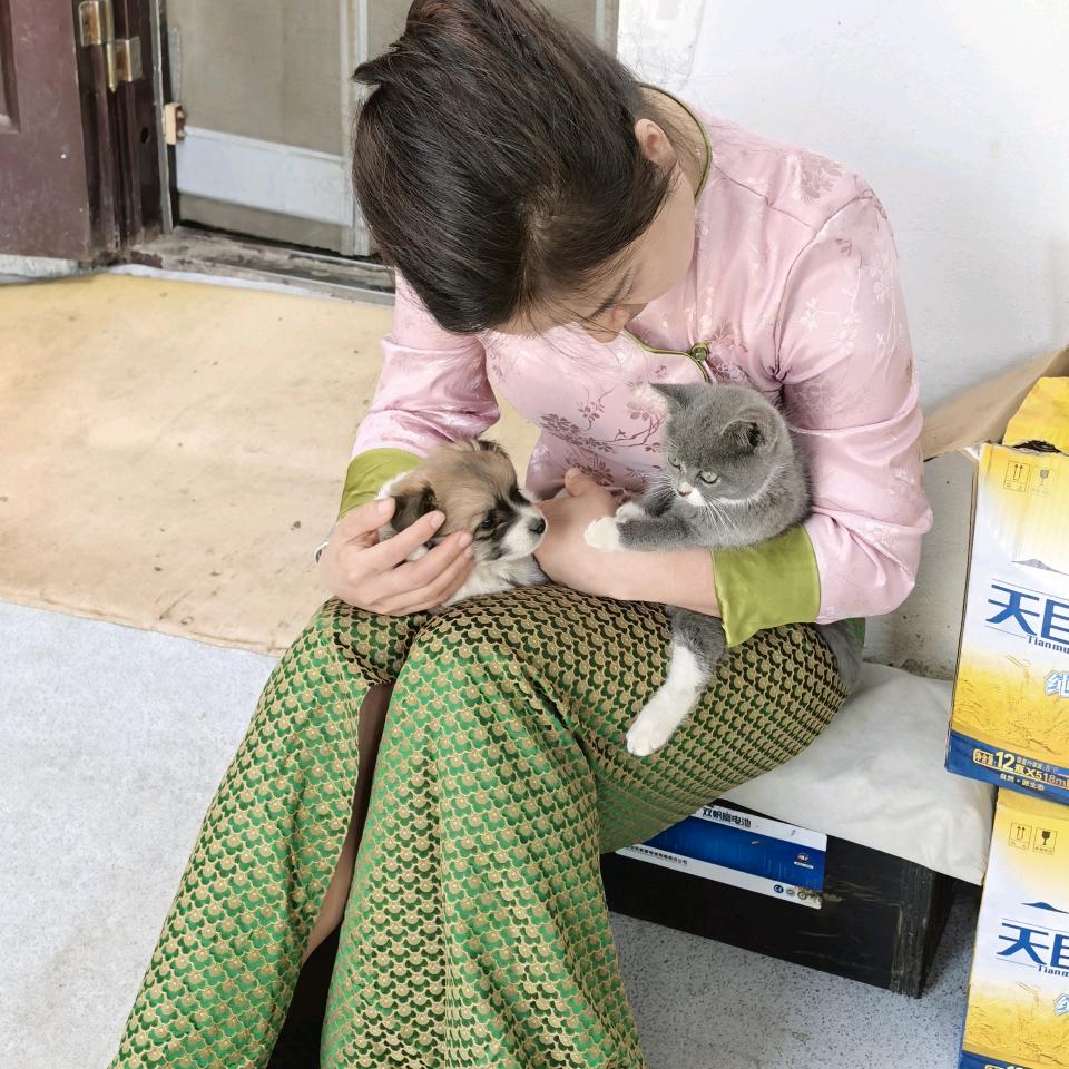 静雅