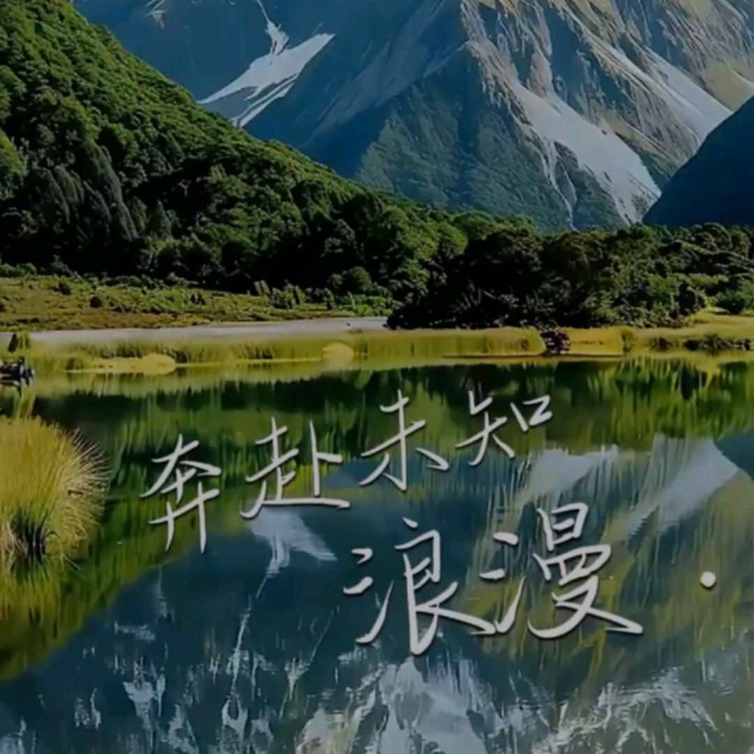 情感分析者