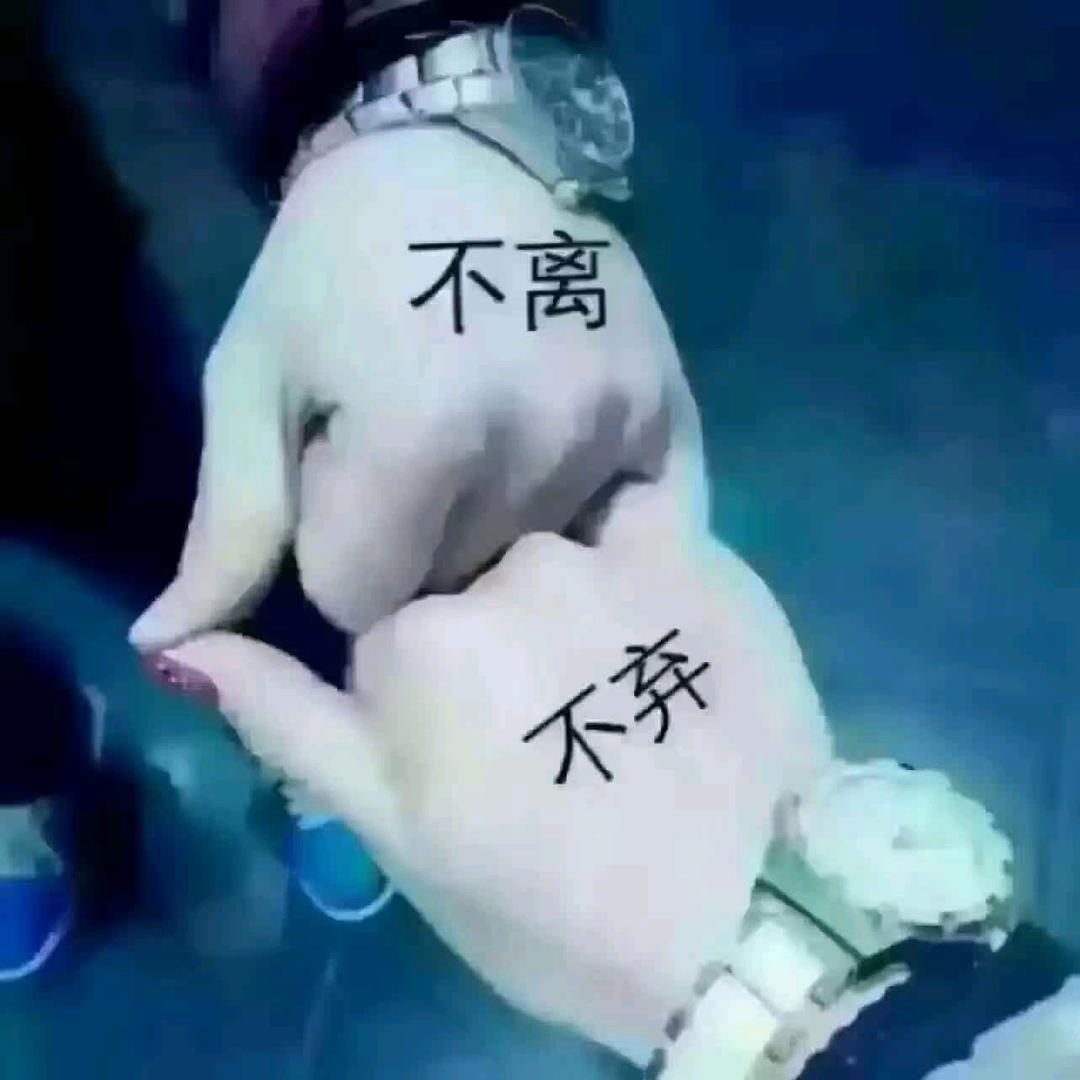 虚情假意滚出我的世界