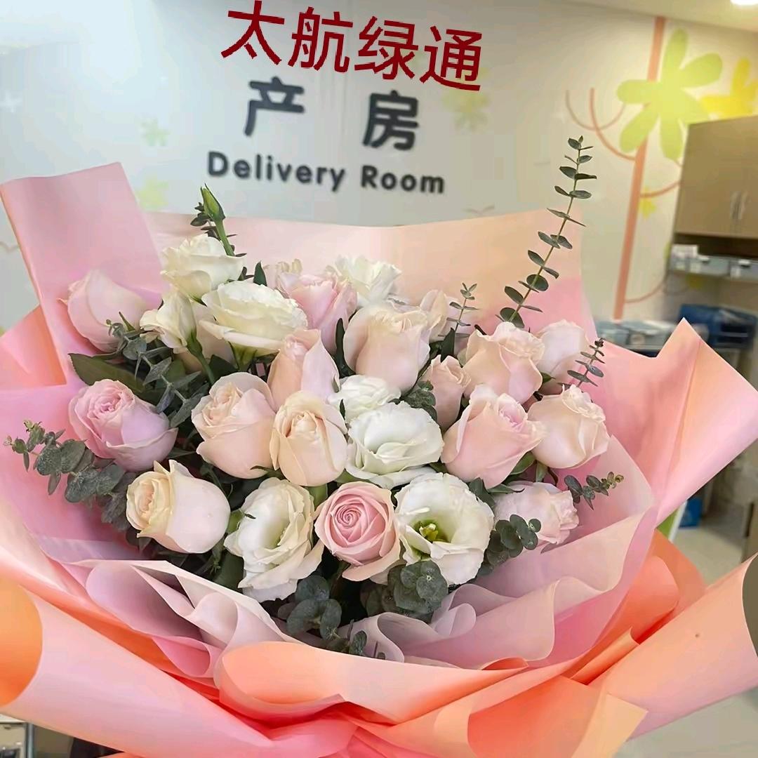 太航绿通
