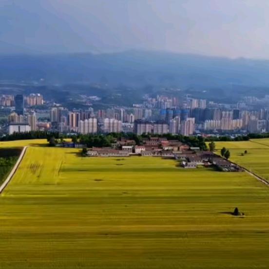 飛车(Che)向末来