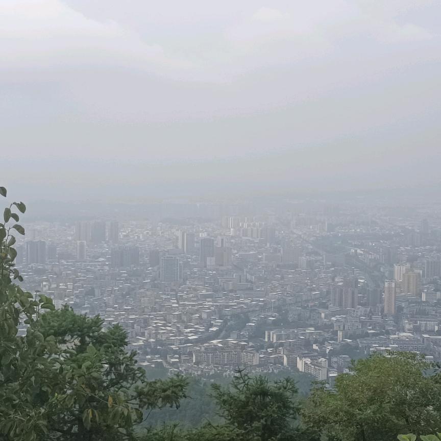 七洲
