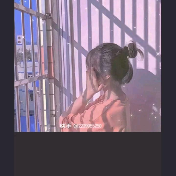 萌萌小奶猫