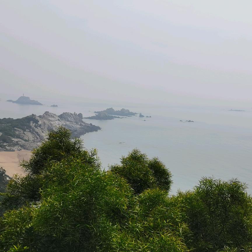 流浪的蔡哥