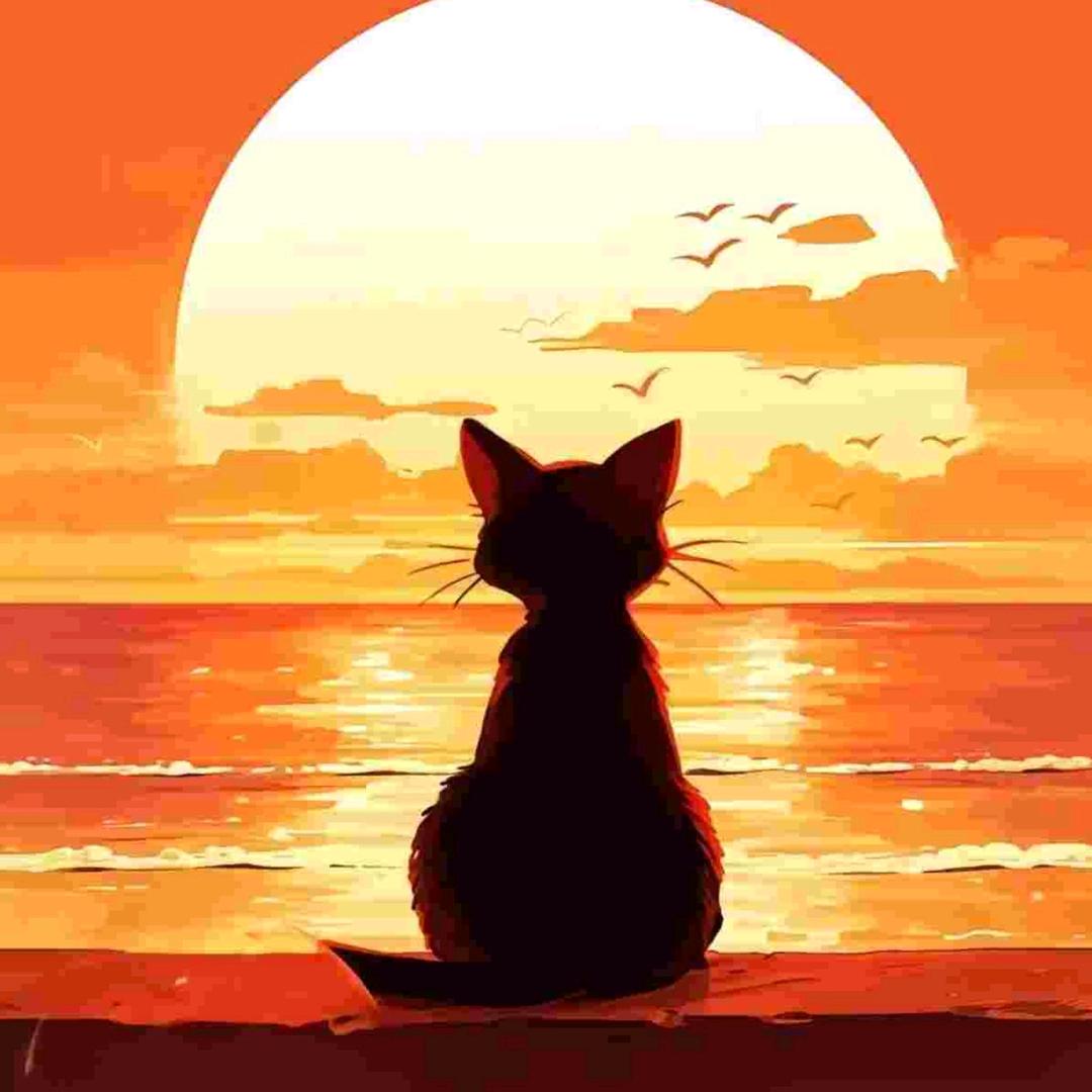 🌚