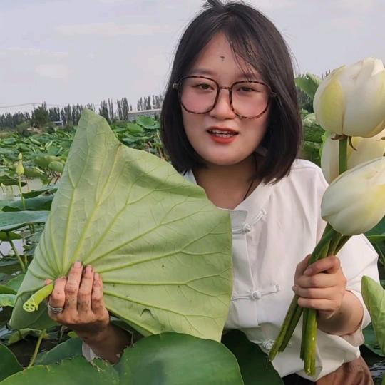 博湖蔡文静