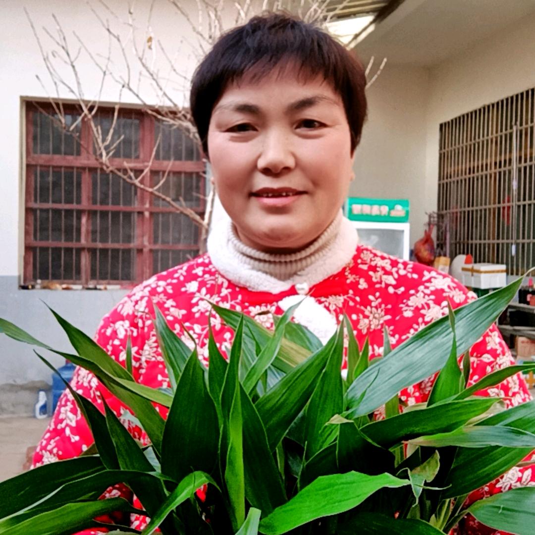 暂时停播