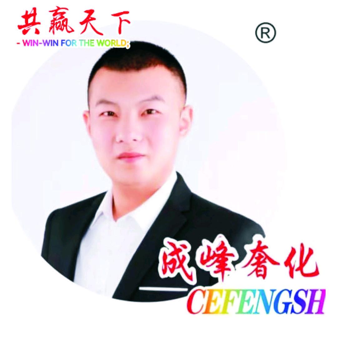 成峰奢化总部