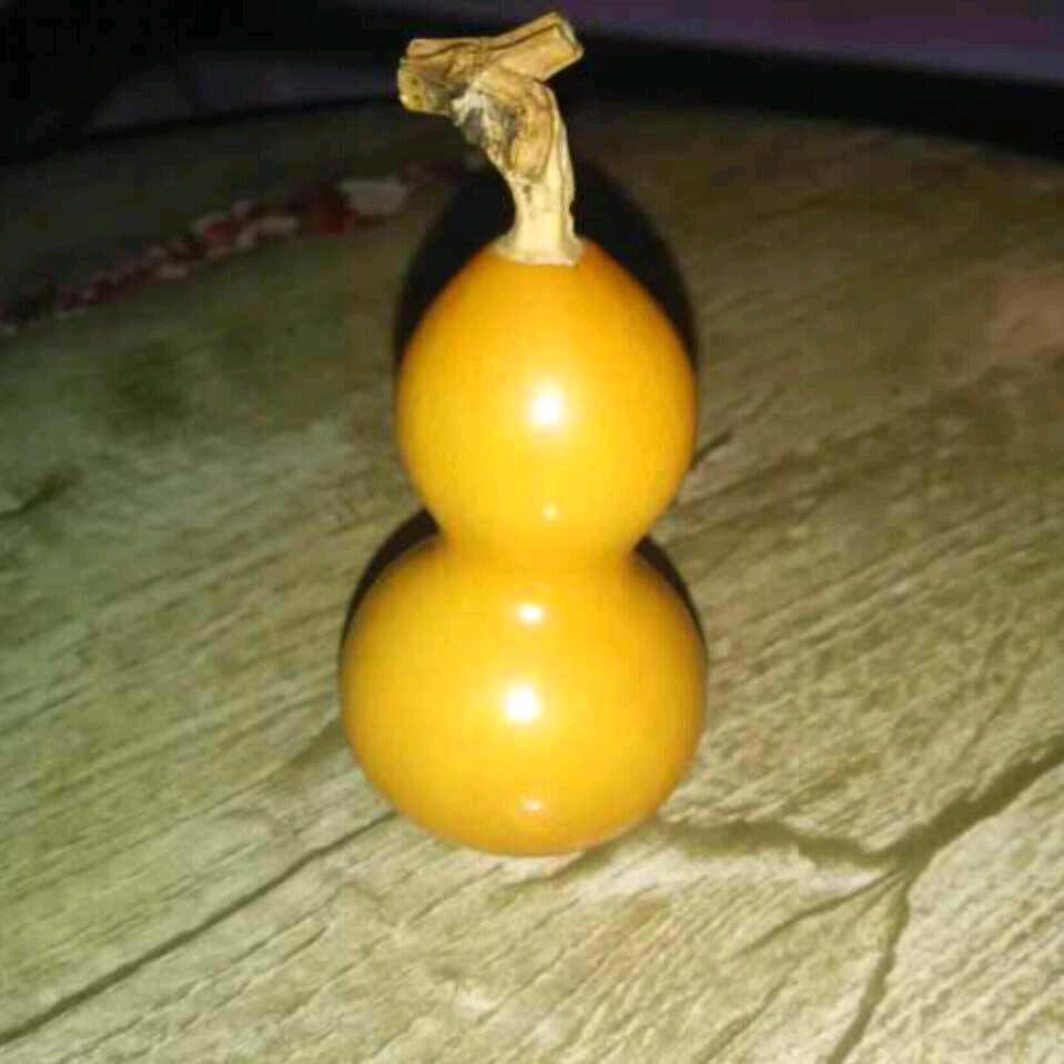 真的假的