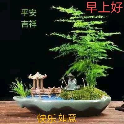 用户8175111676177